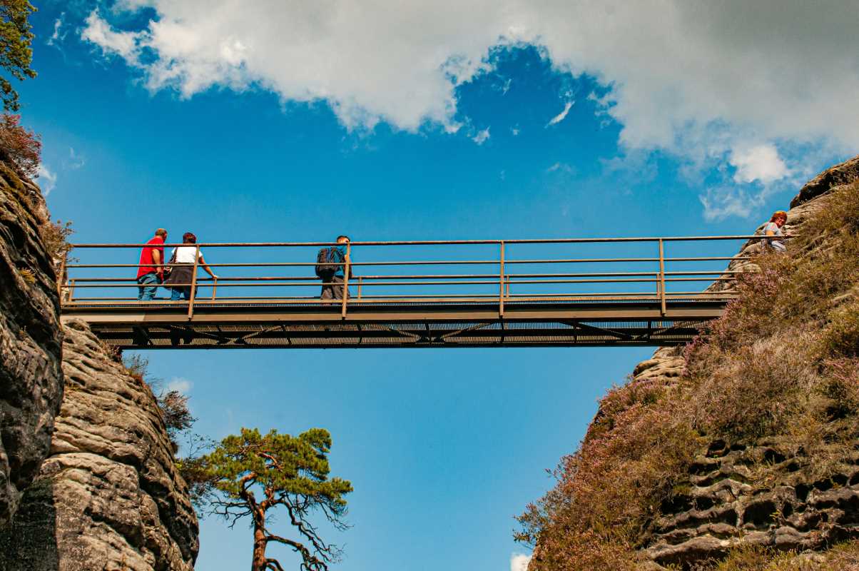 The Bestest Adventure Parks for Thrill Seekers