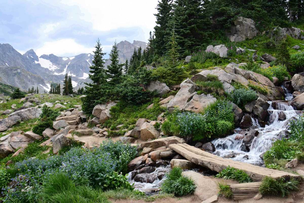 5 Family-Friendly Trails That Everyone Will Enjoy